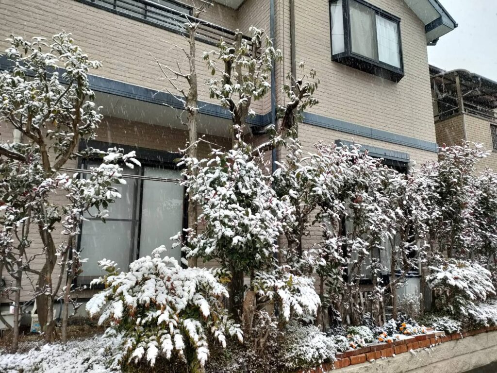 雪景色の家