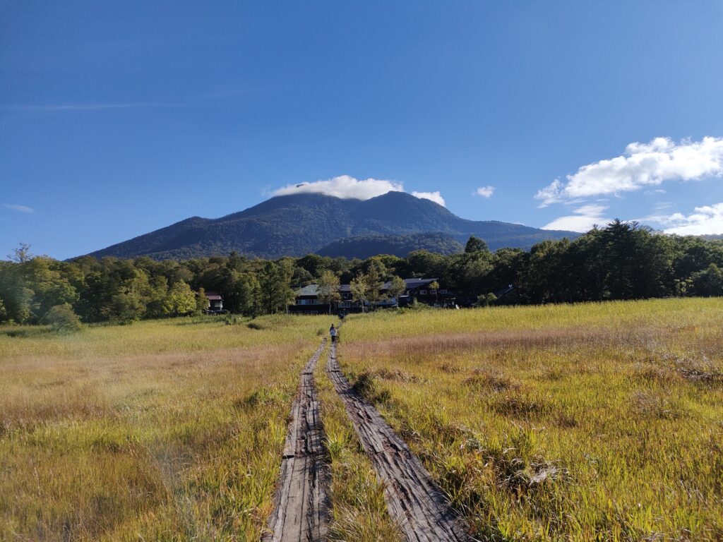 晴れた至仏山